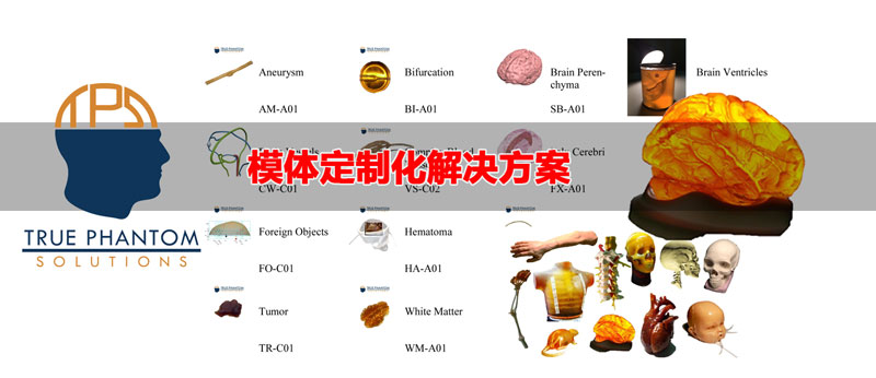 True phantom可以根據買方的研究或教育需求量身定制，以模仿健康的人體骨骼和不健康的人體骨骼