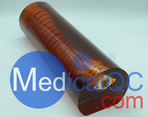 SE-A01成人脊柱模型,SE-A01成人脊柱模體，X射線，CT、MRI兼容