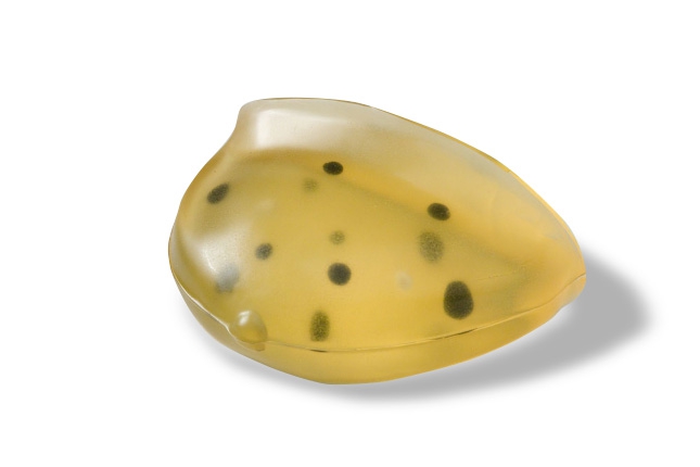 CIRS 013乳腺模體，CIRS 013模體