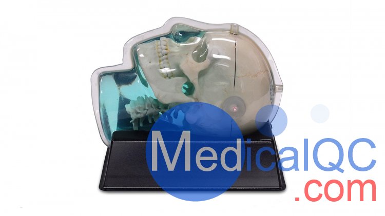 CIRS 603A頭部模體，CIRS 603A頭部MRI模體