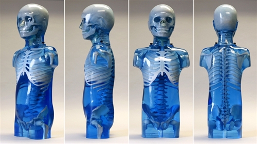 CIRS 715兒童彷真模體，CIRS 715兒童訓練模體