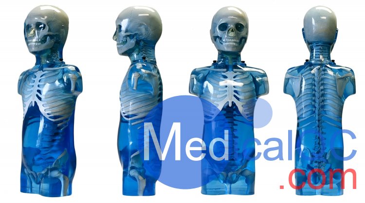 CIRS 715兒童彷真模體，CIRS 715兒童訓練模體