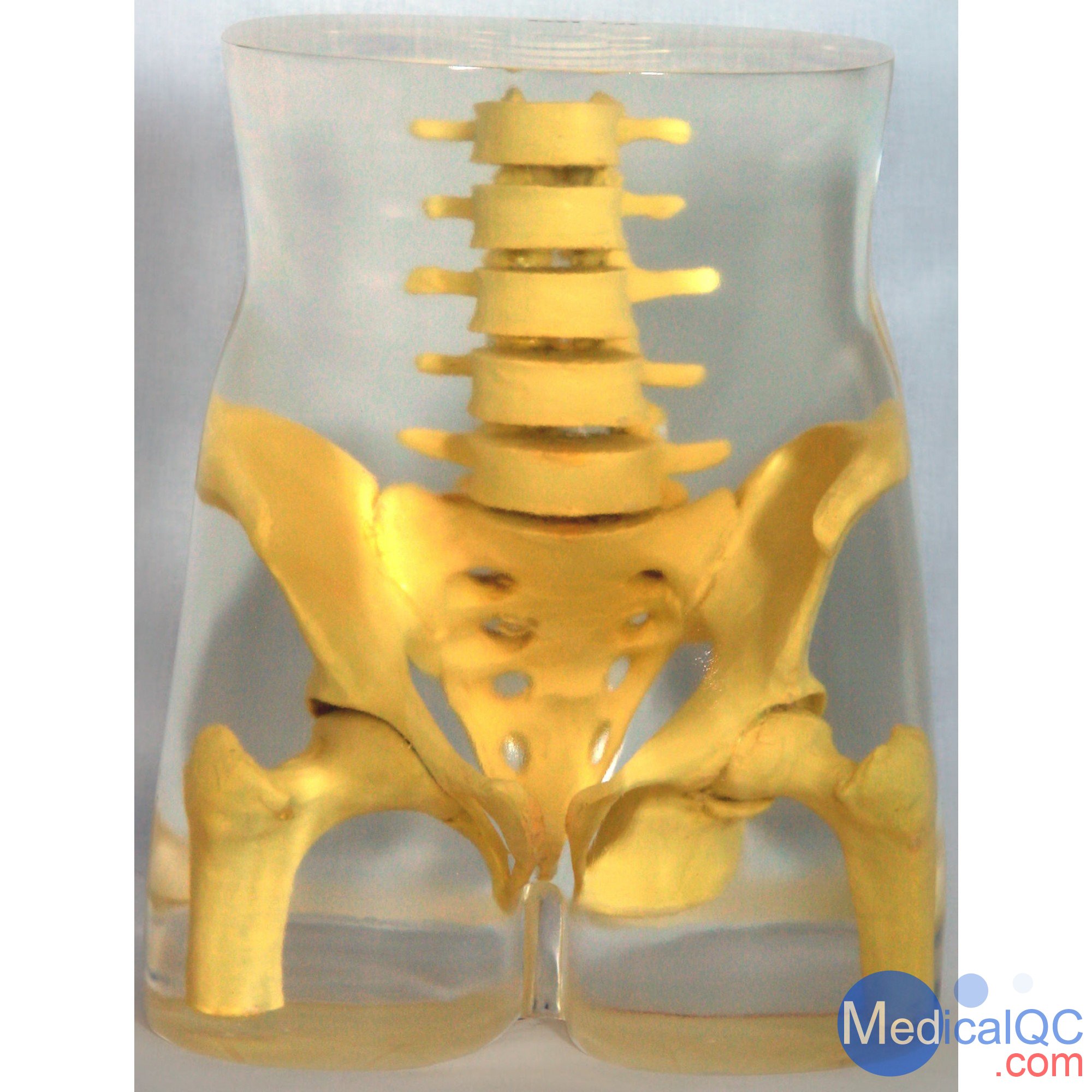 RSD RS-113骨盤模體,RS-113T脊椎模體