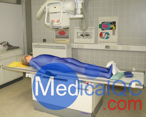 德國Erler Zimmer 7200天然骨骼全身模體，EZ 7200全身模體