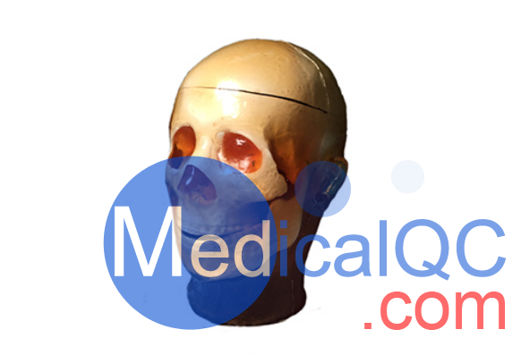 True phantom多功能頭部模體，True phantom頭部模體