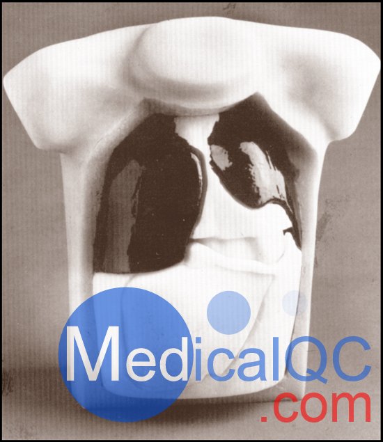 勞倫斯利弗莫爾現(xiàn)實(shí)模體