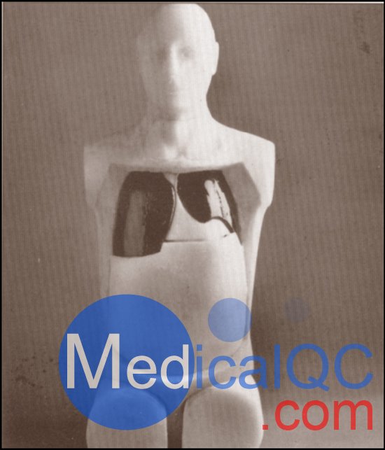 勞倫斯利弗莫爾現(xiàn)實(shí)模體