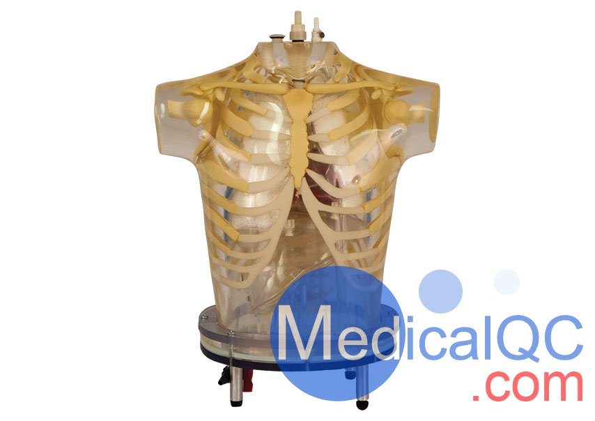 RSD RS-800T胸肺模體，RS-800T核醫(yī)學(xué)胸肺模體