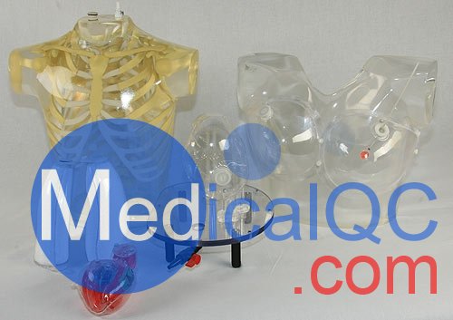 RSD RS-800T胸肺模體，RS-800T核醫(yī)學(xué)胸肺模體