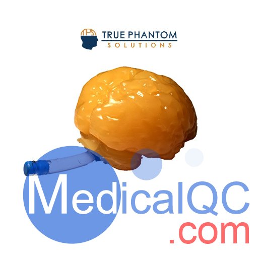 標準成人腦模體,適用于CT、MRI、超聲材料制作的腦模體