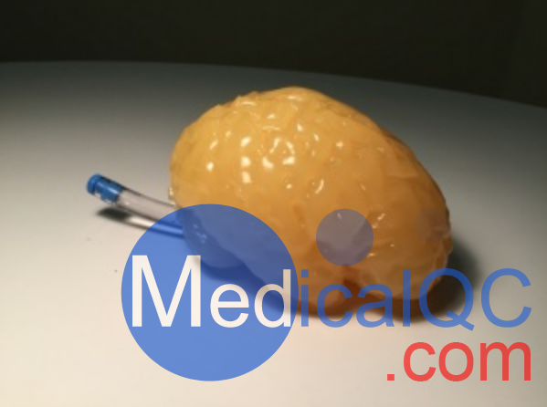 Truephantom BN-A01標準成人腦模體,適用于CT、MRI、超聲