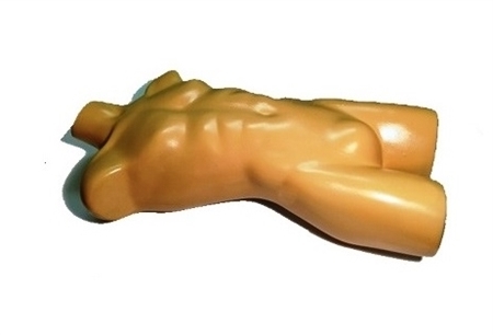 TurePhantom R＆D成人軀干模體，適用于MRI、超聲、CT