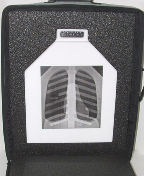 Duke 07-646胸部數字模體,Duke 07-646胸部模體