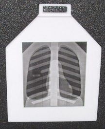 Duke 07-646胸部數字模體,Duke 07-646胸部模體