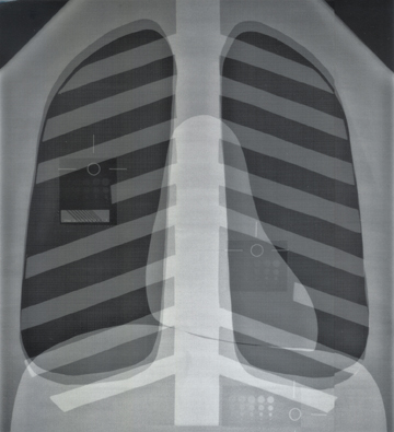 Duke 07-646胸部數字模體,Duke 07-646胸部模體