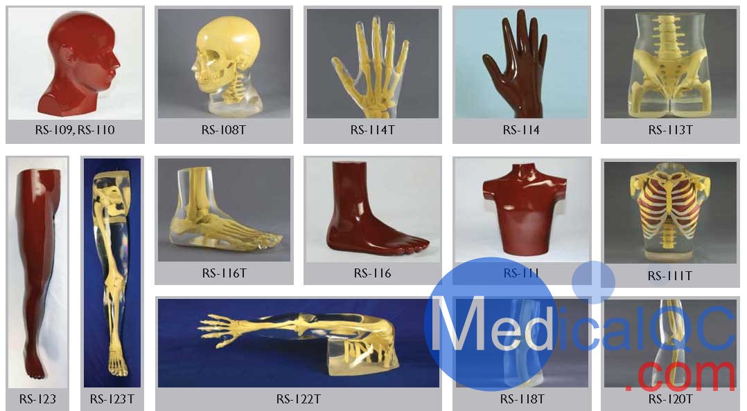 美國RSD人體部分模體，RSD RS-114T手臂模體,RSD RS-123T腿部模體