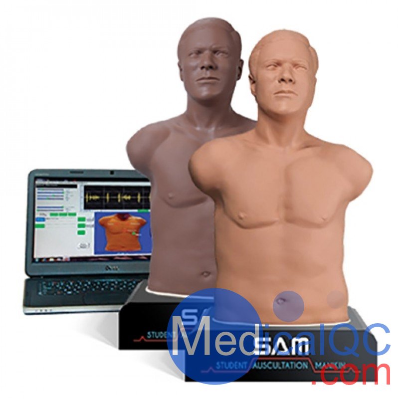 SAM 3G學生聽診人體模型，SAM 3G聽診模型
