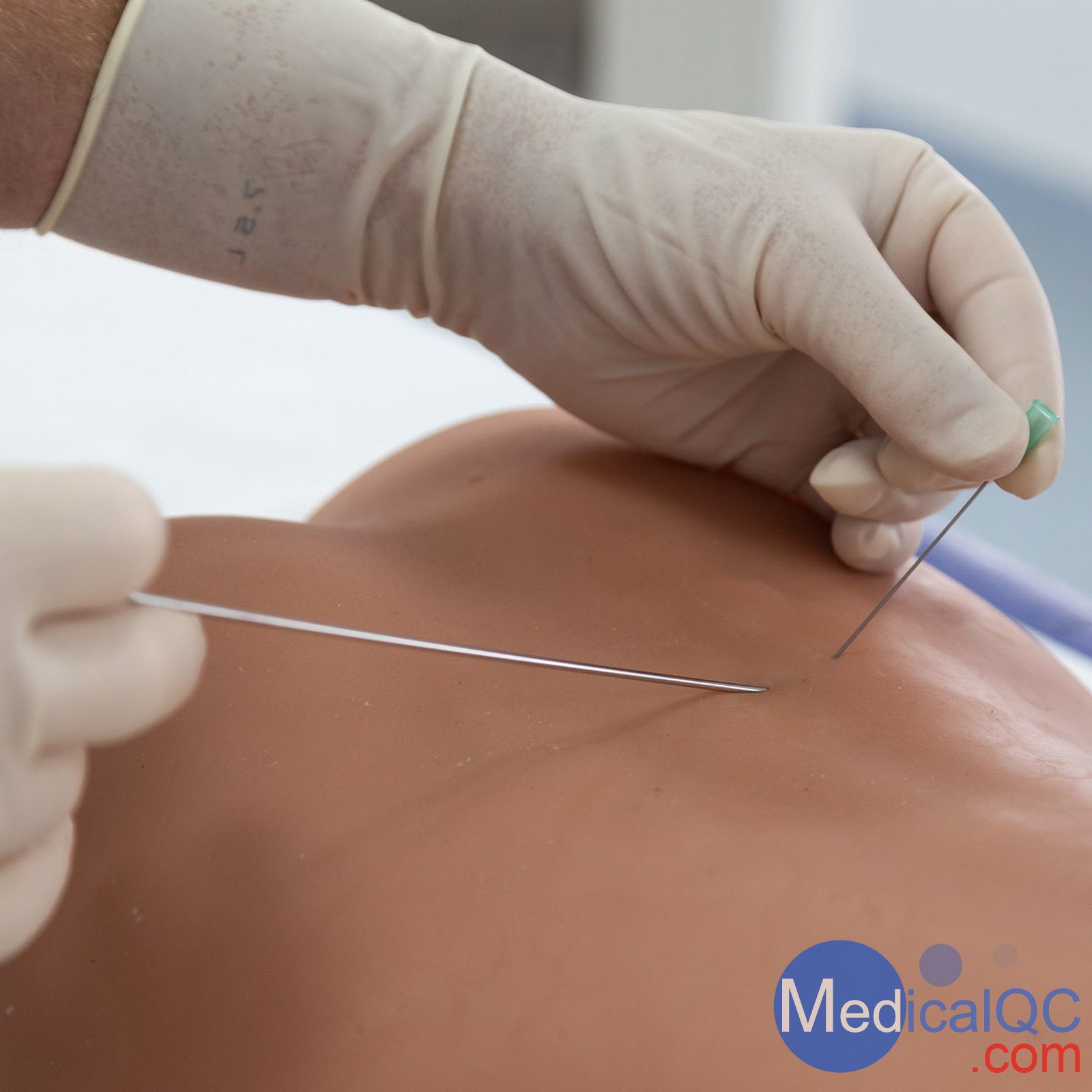 3B P65腰椎穿刺模體,P65腰椎穿刺訓練模體,3B P65模體,P65腰椎模體,P65腰椎穿刺訓練模體,P65穿刺訓練模體,穿刺訓練模體