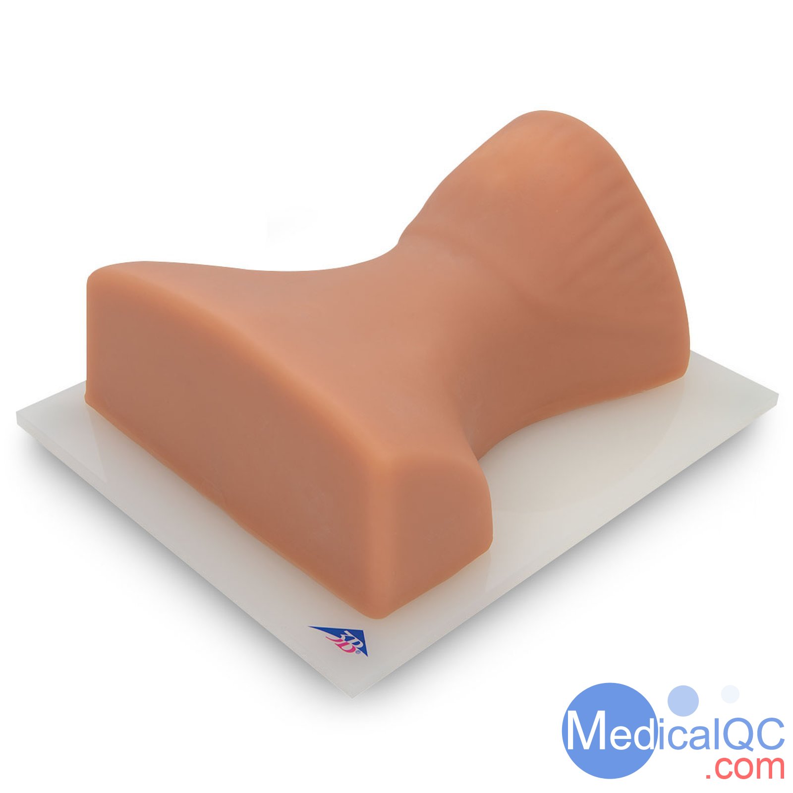 3B P67頸椎圖像引導穿刺訓練模體,3B P67頸椎穿刺訓練模體