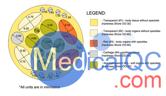 RT-C01大鼠模體,加拿大Truephantom RT-C01大鼠模體構造