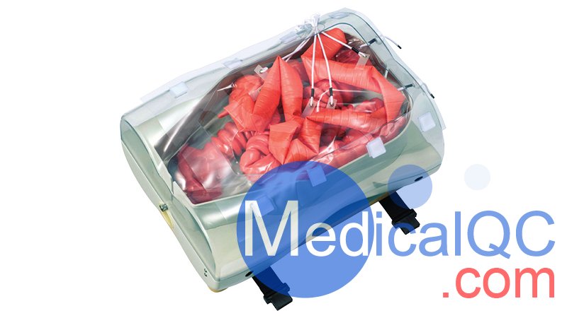 LM-107結腸鏡模擬器, LM-107內窺鏡下消化道模體