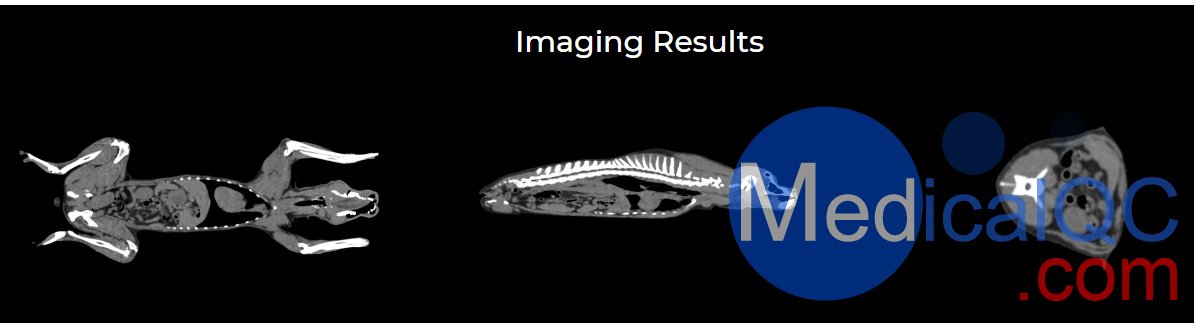 狗全身CT模體，EZVET14000狗全身模型，可X射線和CT