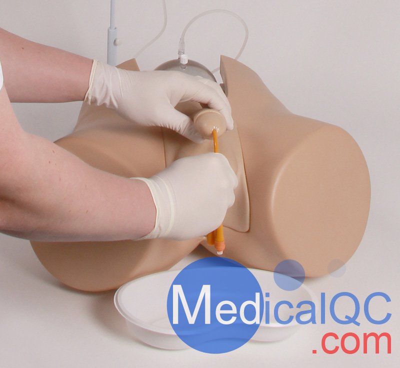 Henri Dunant膀胱插管模擬器，Nightingale導(dǎo)尿訓(xùn)練模體