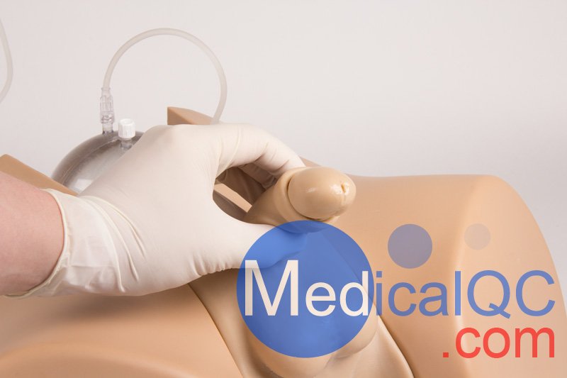 Henri Dunant膀胱插管模擬器，Nightingale導(dǎo)尿訓(xùn)練模體