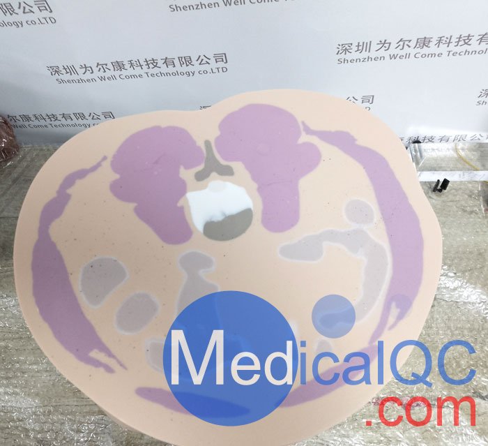 CIRS 801-P男性骨盤模體，CIRS 801-P模體實物拍攝圖