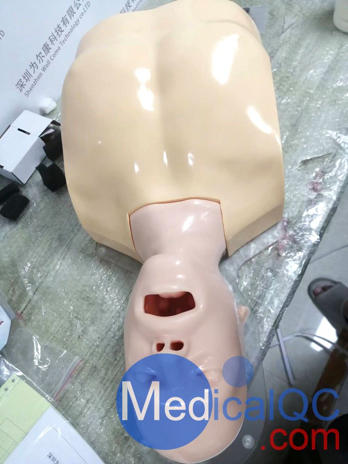 WEK-B05內(nèi)窺鏡支氣管模體，WEK-B05支氣管模型