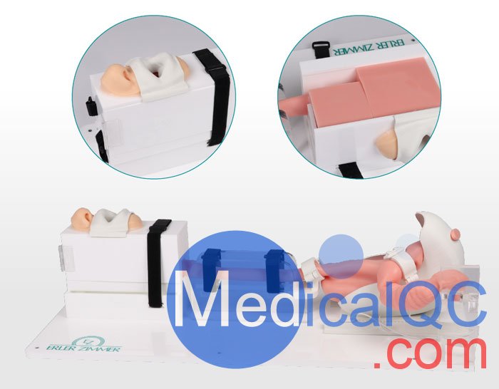 7150胃腸鏡模體，EGD模擬器，7150 EGD模體