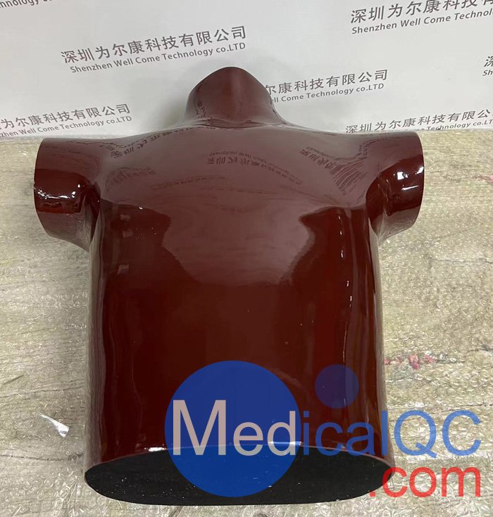 RSD RS-310胸/肺模體，RSD RS-310肺部模體實拍圖