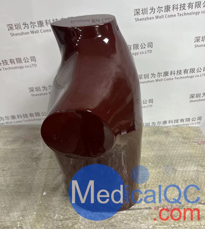 RSD RS-310胸/肺模體，RSD RS-310肺部模體實拍圖