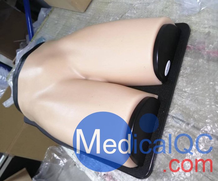 BPF1500-HP血管通路和區域麻醉超聲訓練模體，BPF1500-HP區域麻醉超聲模體