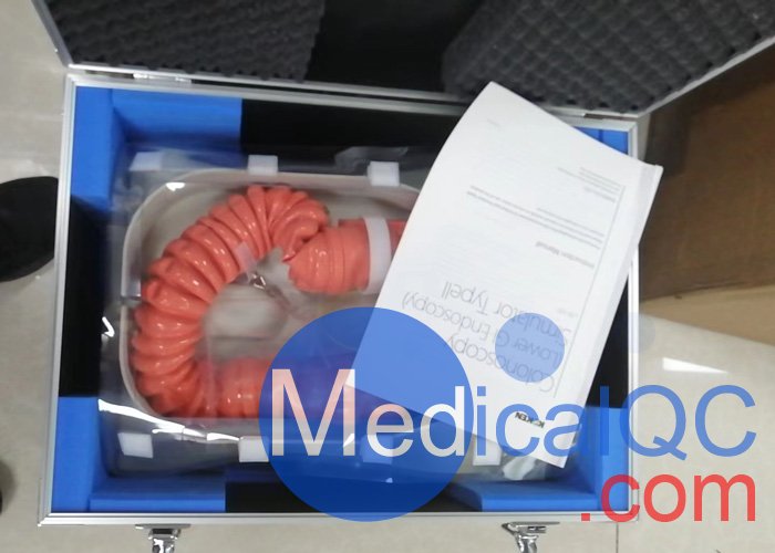 LM-107結腸鏡模擬器, LM-107內窺鏡下消化道模體實物拍攝圖