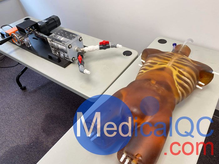 TO-A02成人軀干模體，TO-A02動態心臟運動軀干模體