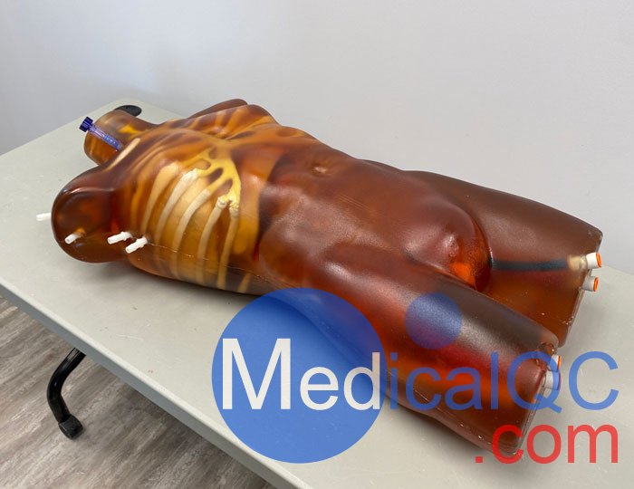 TO-A02成人軀干模體，TO-A02動態心臟運動軀干模體
