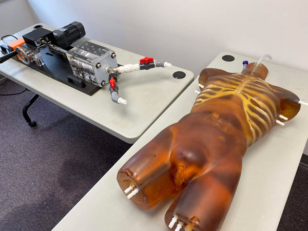 TO-A02成人軀干模體，TO-A02動態心臟運動軀干模體