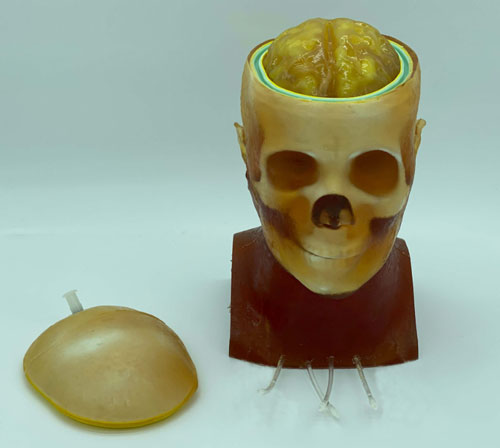 HD-C03成人頭模，HD-C03血管造影頭模，HD-C03頭部模體