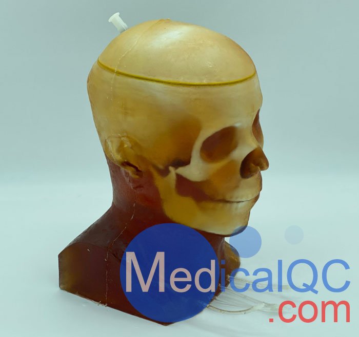 HD-C03成人頭模，HD-C03血管造影頭模，HD-C03頭部模體實拍圖