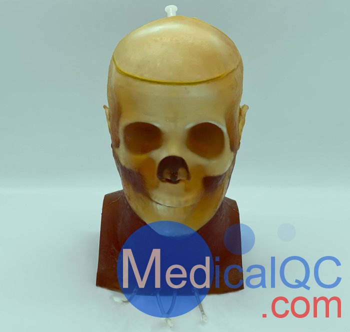 HD-C03成人頭模，HD-C03血管造影頭模，HD-C03頭部模體實拍圖