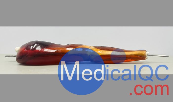 KE-A02成人膝關(guān)節(jié)模體，KE-A02腿部模型，KE-A02腿模體