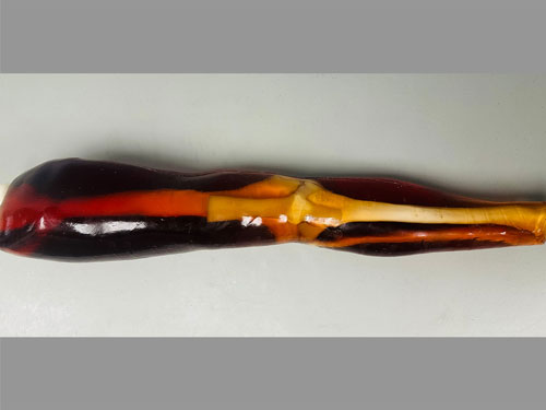 KE-A02成人膝關(guān)節(jié)模體，KE-A02腿部模型，KE-A02腿模體