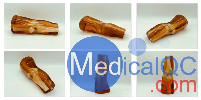 KE-A03成人膝關(guān)節(jié)，KE-A03膝關(guān)節(jié)模體,KE-A03膝關(guān)節(jié)模型