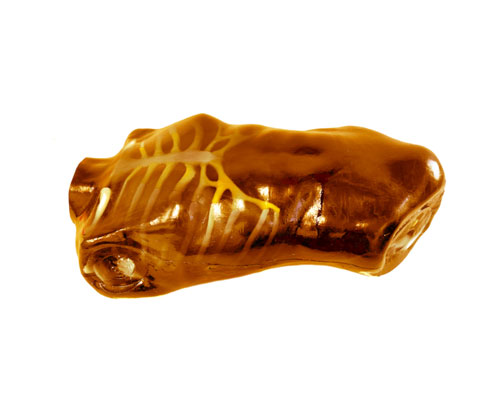 US-A04 FAST訓練軀干模體，US-A04超聲軀干模體