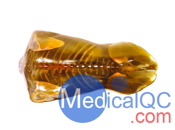 US-A04 FAST訓練軀干模體，US-A04超聲軀干模體