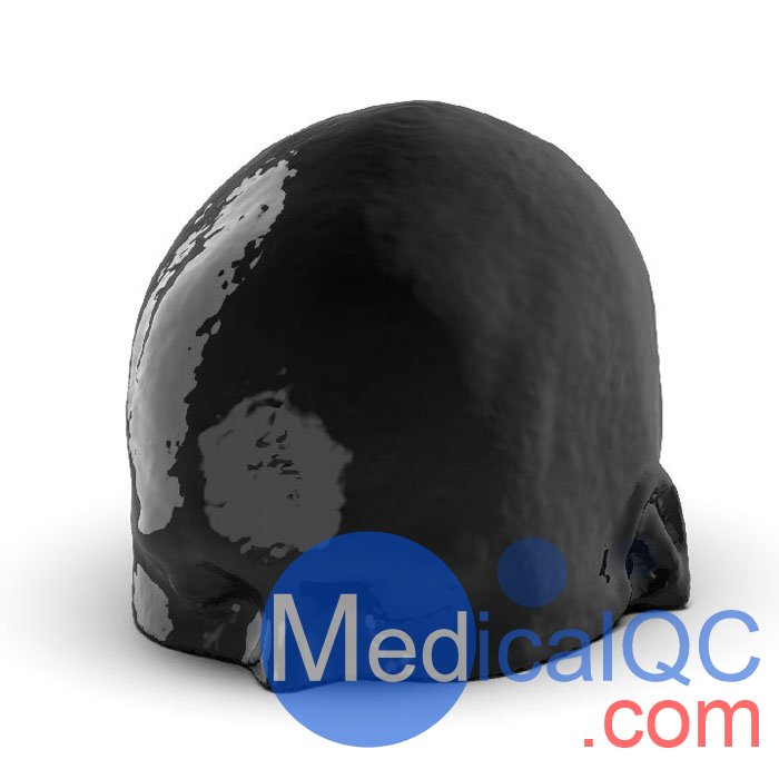 WEK-5005腦血管造影頭模，WEK-5005頭模， CTA AVM頭模