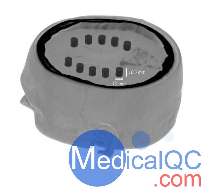 WEK-5005腦血管造影頭模，WEK-5005頭模， CTA AVM頭模