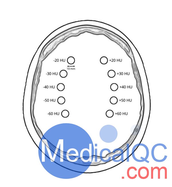 WEK-5005腦血管造影頭模，WEK-5005頭模， CTA AVM頭模