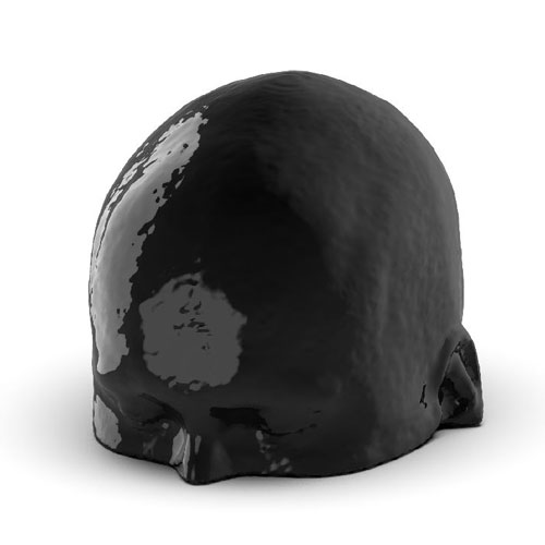 WEK-5005腦血管造影頭模，WEK-5005頭模， CTA AVM頭模